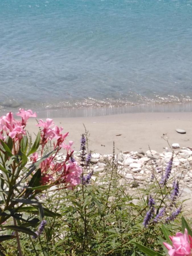 Willa "Sea Front" Rose'S House Kardhianí Zewnętrze zdjęcie