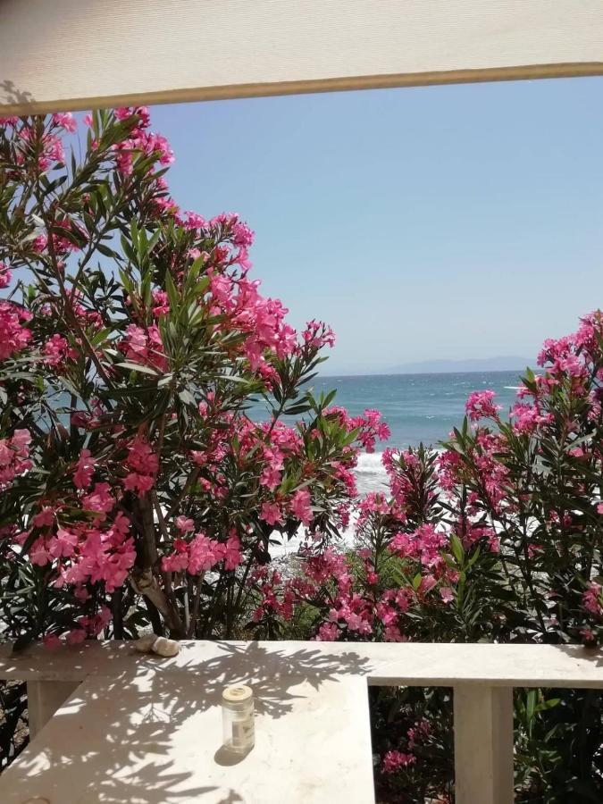 Willa "Sea Front" Rose'S House Kardhianí Zewnętrze zdjęcie