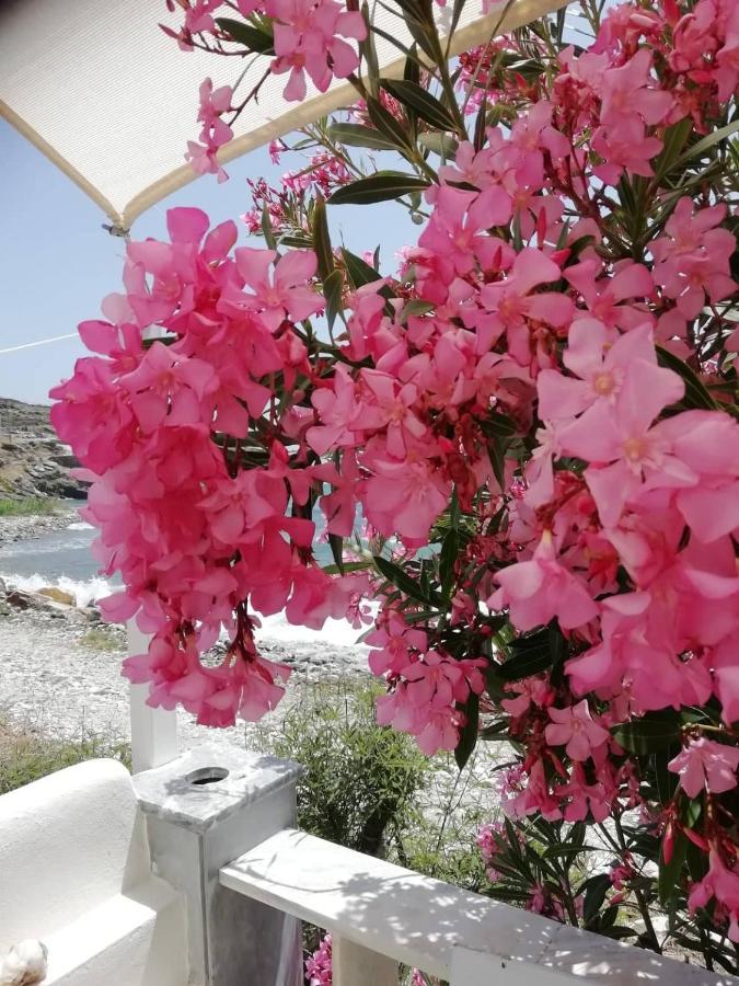 Willa "Sea Front" Rose'S House Kardhianí Zewnętrze zdjęcie