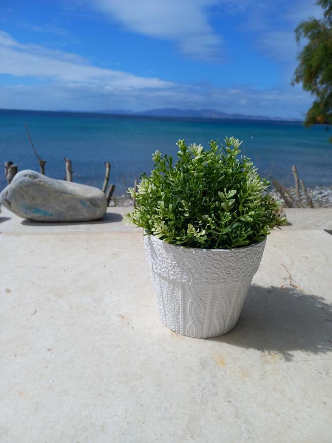 Willa "Sea Front" Rose'S House Kardhianí Zewnętrze zdjęcie